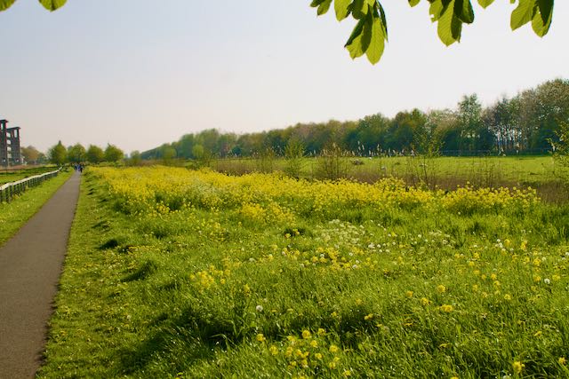 Huurdersvereniging Weidelanden  Jaarverslag 2023